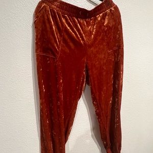 Rose‎ Velvet plus size joggers